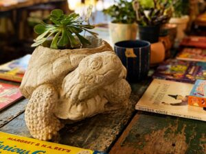 Royal Oak Antiques Market: The People Behind a Sunday Tradition 7 Handmade concrete turtle planter with a succulent at Alvin’s Royal Oak market booth
